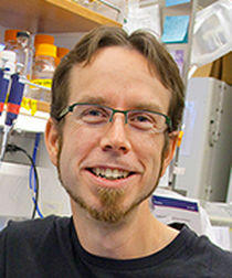 Andrew Mehle, PhD